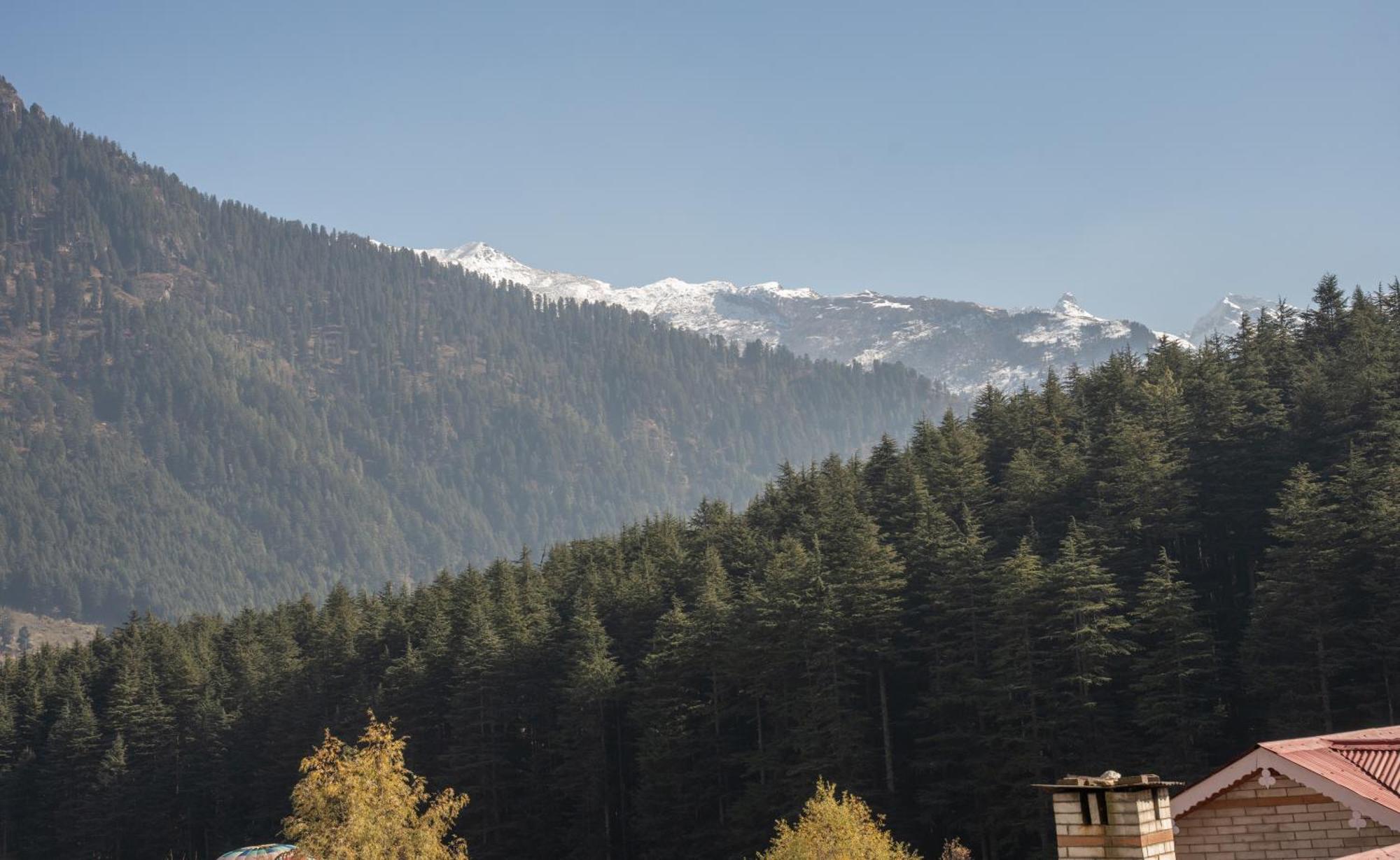 The Conifer Manāli Exterior foto